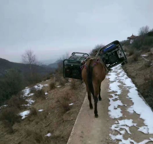 陕西深圳骡子运输队